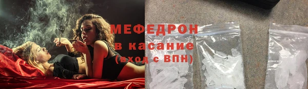 гашик Богданович