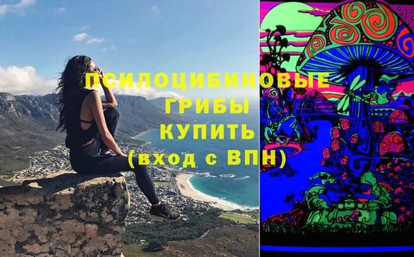 гашик Богданович