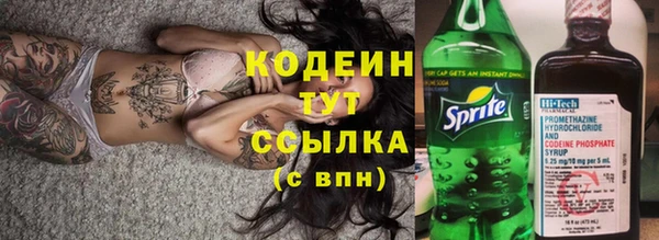 гашик Богданович