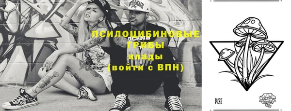 эйфоретик Арсеньев
