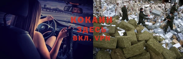 трава Аркадак