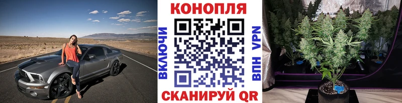 ссылка на мегу зеркало  Свирск  Бошки марихуана VHQ 